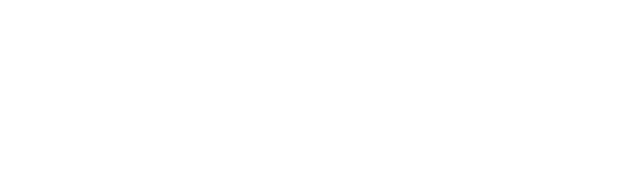 Logo White