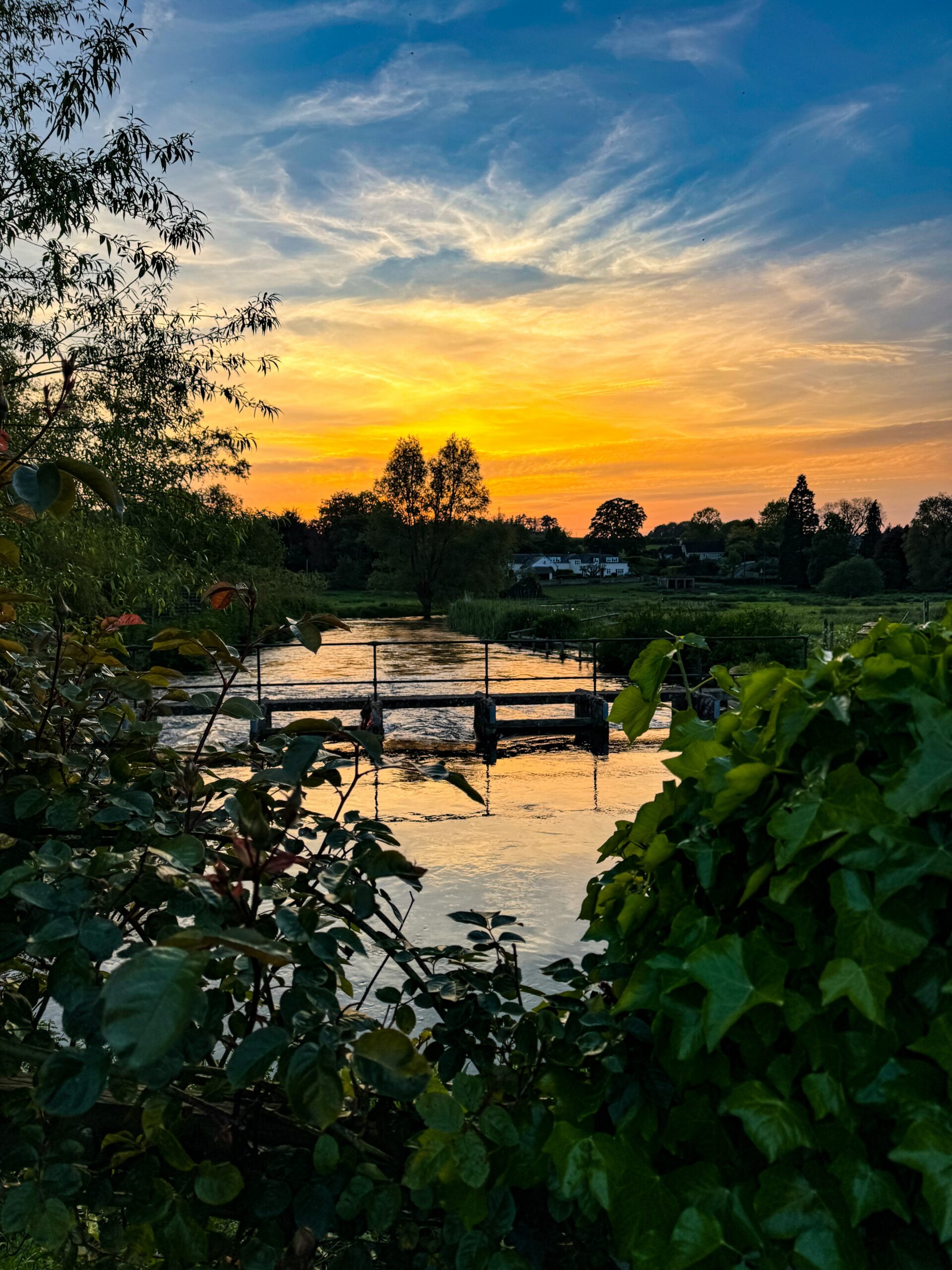 Sunset ()